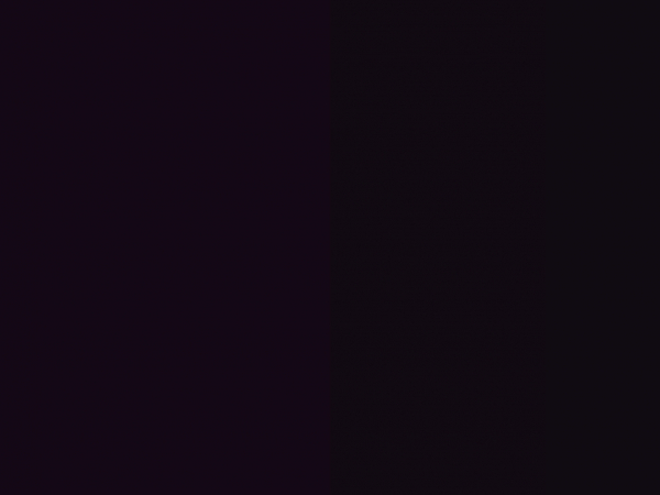 hollywebfestival.com